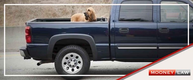 Can I Ride in the Back of a Pick-Up Truck in Maryland?